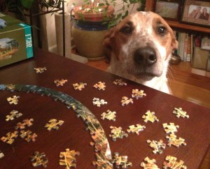 puzzle dog