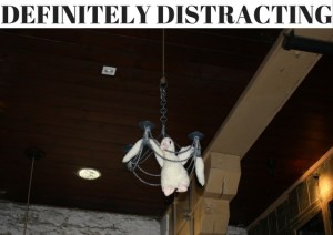 DEFINITELY DISTRACTING