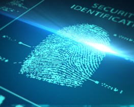 canstockphoto17652788